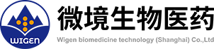 BETVLCTOR伟德国际1946